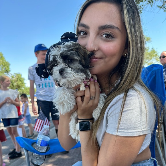 kenzknowelle